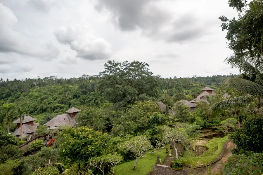 Stunning valley view in ubud